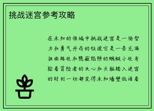 挑战迷宫参考攻略
